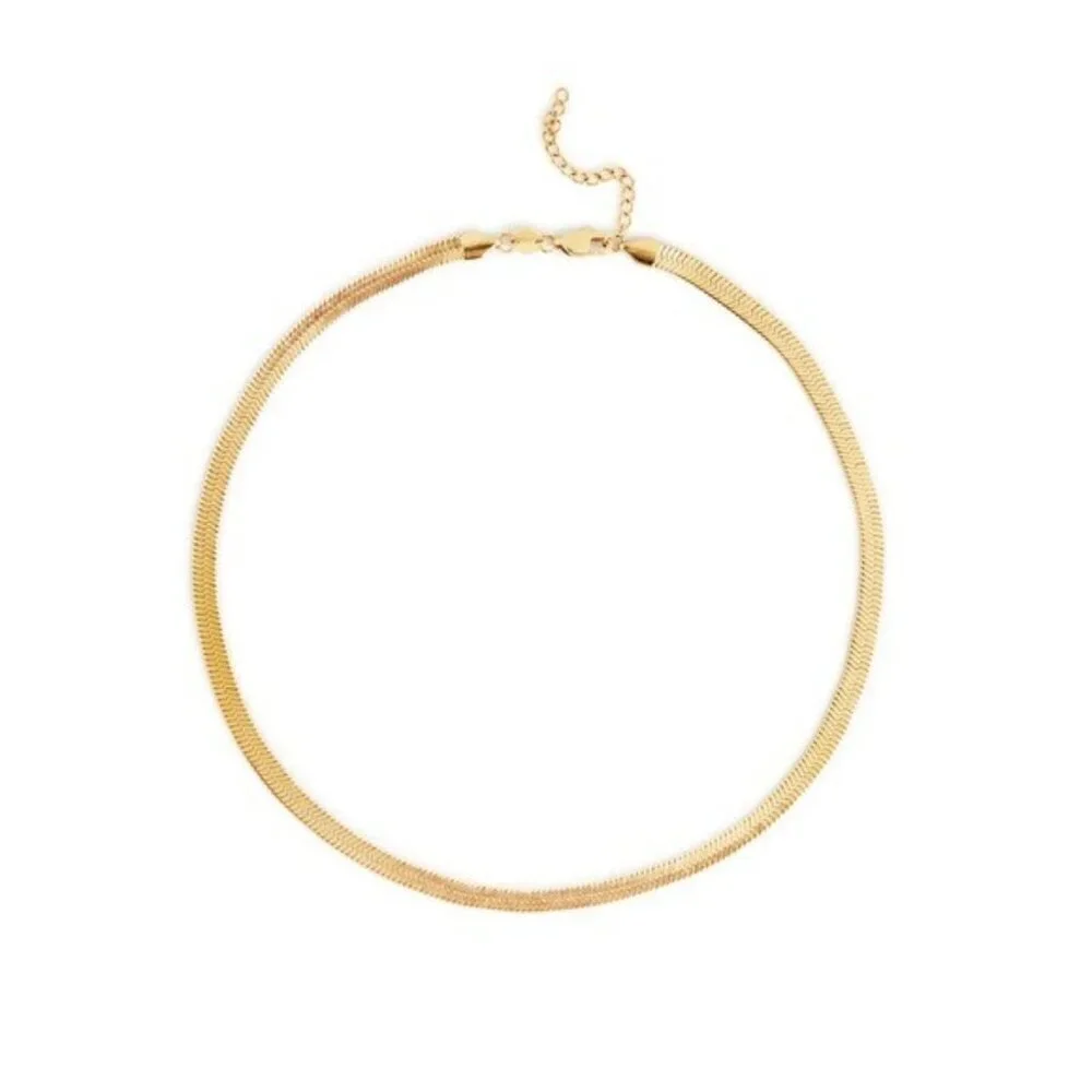 NWT Curateur x Jennifer Zeuner Allie Gold 14k Yellow Gold Plated Necklace